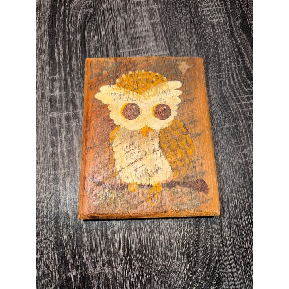Vintage Hand-Painted Wooden Owl Plaque Rustic Folk Art Wall Decor – 1960s/1970s